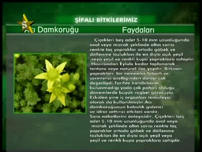 S Yildiz TV